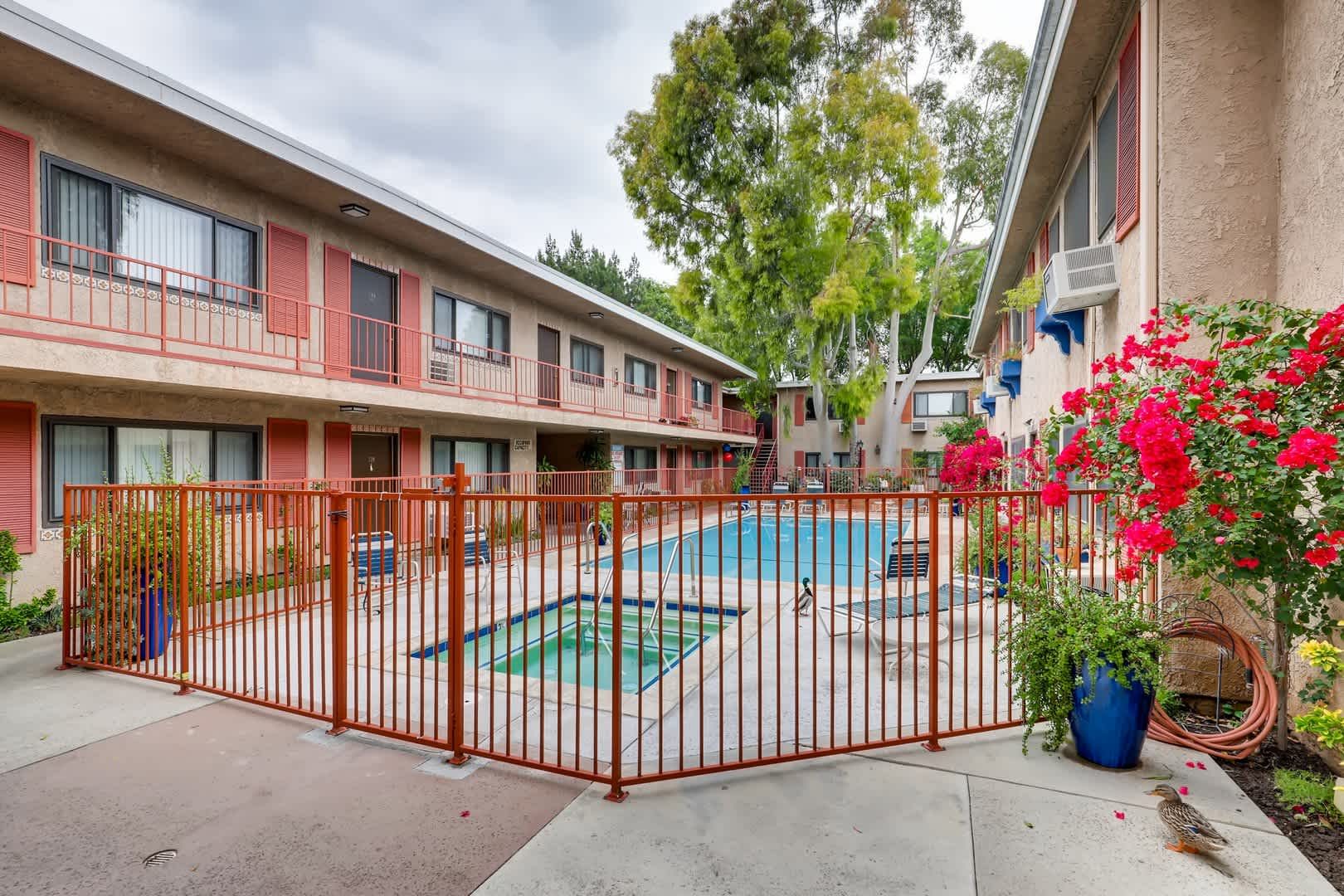 Community pool